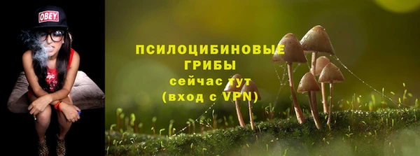 молекула духа Беломорск