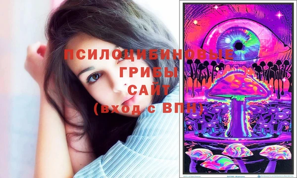 марки nbome Богородицк